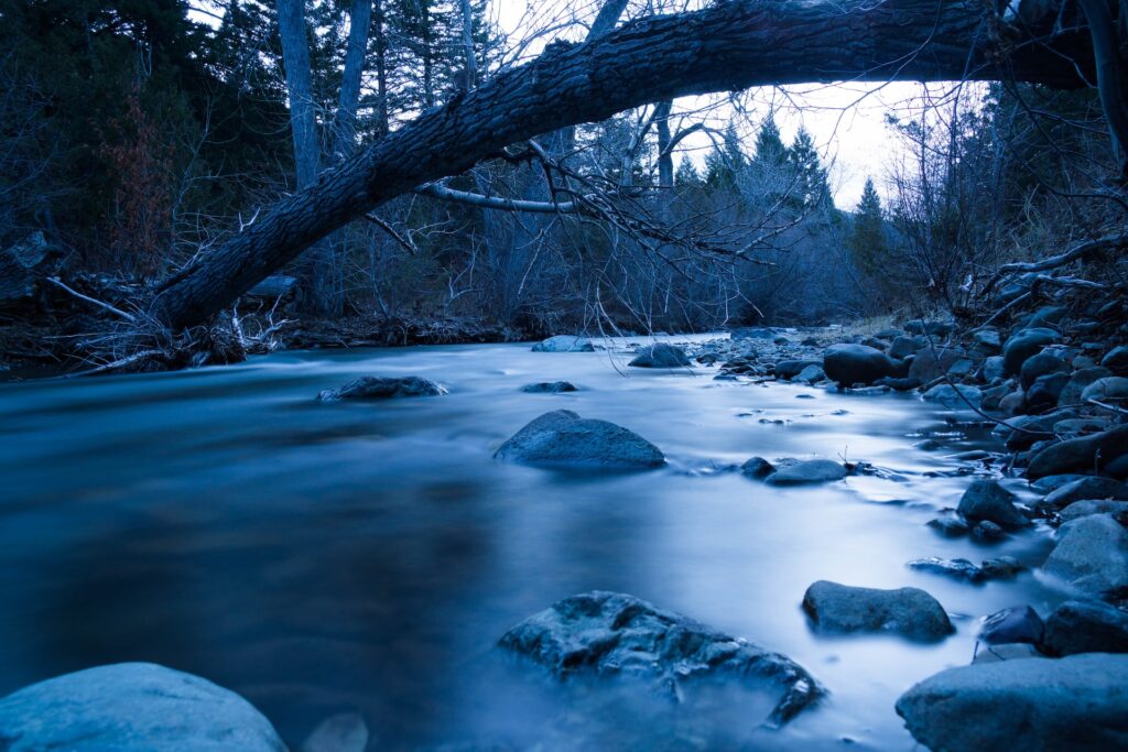 The Hands of God More To Life