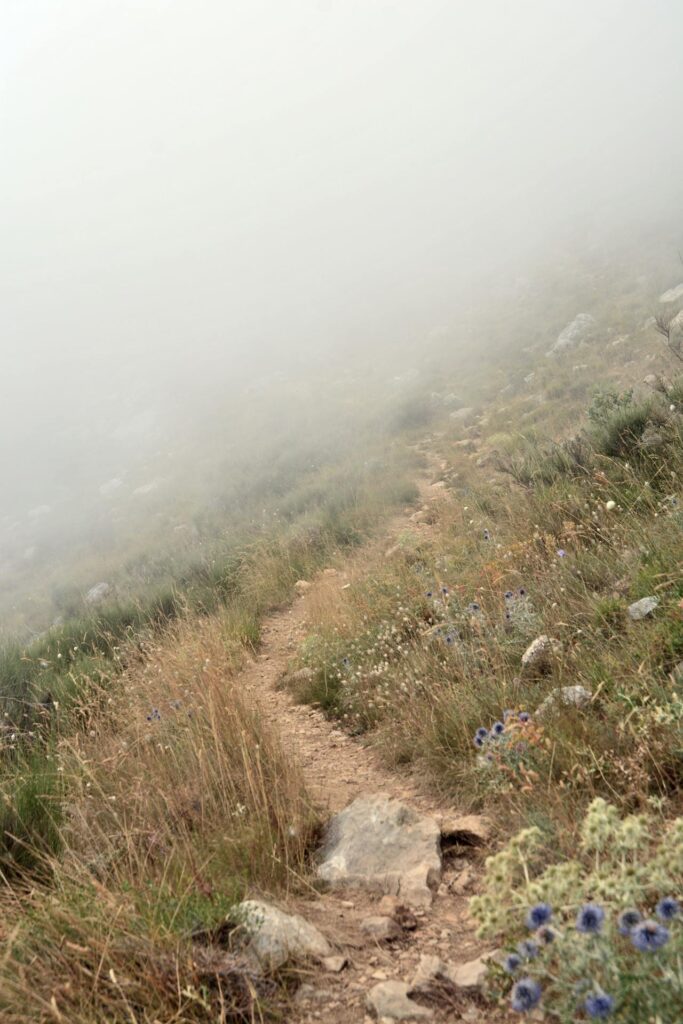 He Knows The Way That I Take