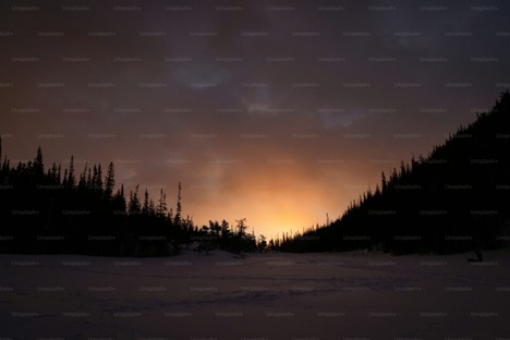 Fighting in the Dark